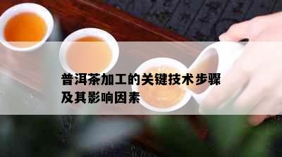 普洱茶加工的关键技术步骤及其影响因素