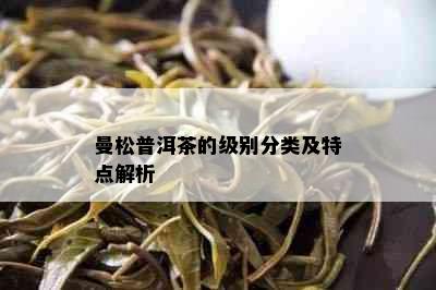 曼松普洱茶的级别分类及特点解析