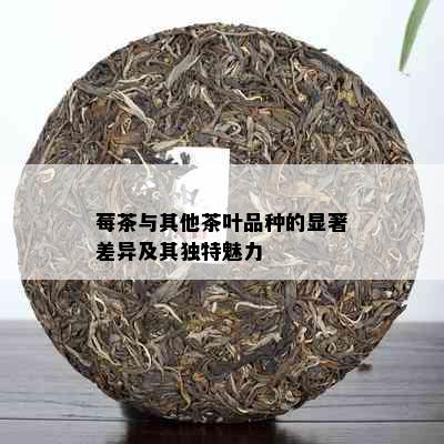 莓茶与其他茶叶品种的显著差异及其独特魅力