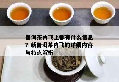 普洱茶内飞上都有什么信息？新普洱茶内飞的详细内容与特点解析