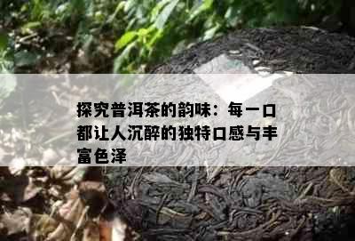 探究普洱茶的韵味：每一口都让人沉醉的独特口感与丰富色泽