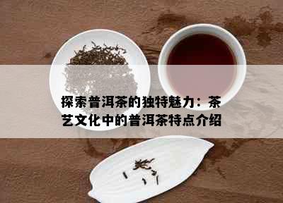 探索普洱茶的独特魅力：茶艺文化中的普洱茶特点介绍