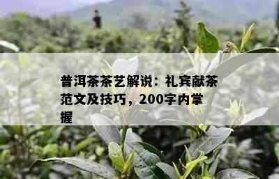 普洱茶茶艺解说：礼宾献茶范文及技巧，200字内掌握