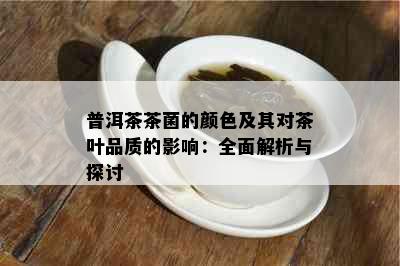 普洱茶茶菌的颜色及其对茶叶品质的影响：全面解析与探讨