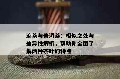 沱茶与普洱茶：相似之处与差异性解析，帮助你全面了解两种茶叶的特点