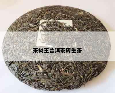 茶树王普洱茶砖生茶