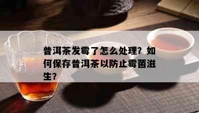 普洱茶发霉了怎么处理？如何保存普洱茶以防止霉菌滋生？