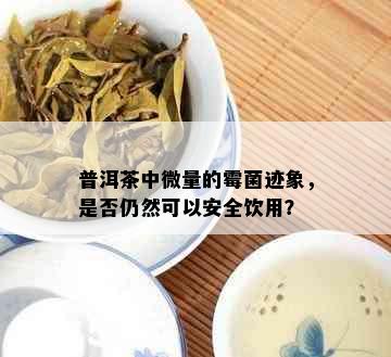 普洱茶中微量的霉菌迹象，是否仍然可以安全饮用？