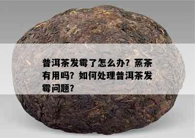 普洱茶发霉了怎么办？蒸茶有用吗？如何处理普洱茶发霉问题？