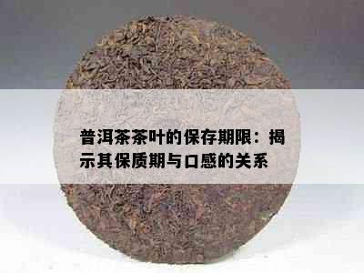 普洱茶茶叶的保存期限：揭示其保质期与口感的关系