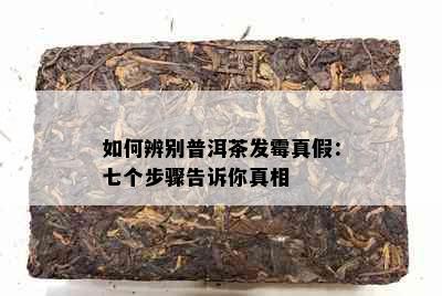 如何辨别普洱茶发霉真假：七个步骤告诉你真相