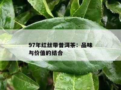 97年红丝带普洱茶：品味与价值的结合