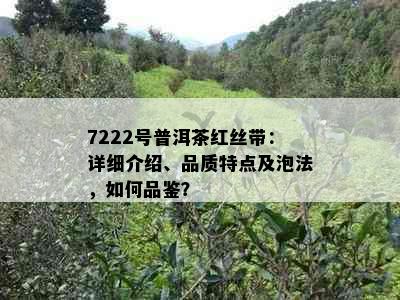 7222号普洱茶红丝带：详细介绍、品质特点及泡法，如何品鉴？