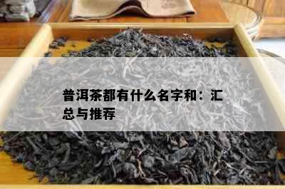 普洱茶都有什么名字和：汇总与推荐