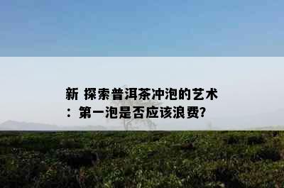 新 探索普洱茶冲泡的艺术：之一泡是否应该浪费？