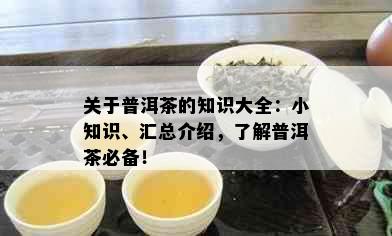 关于普洱茶的知识大全：小知识、汇总介绍，了解普洱茶必备！