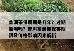 普洱茶保质期是几年？过期能喝吗？普洱茶更佳保存期限及价格影响因素解析