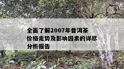 全面了解2007年普洱茶价格走势及影响因素的详尽分析报告