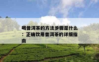 喝普洱茶的方法步骤是什么：正确饮用普洱茶的详细指南