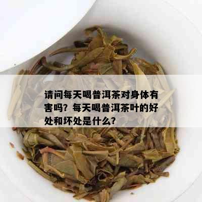 请问每天喝普洱茶对身体有害吗？每天喝普洱茶叶的好处和坏处是什么？