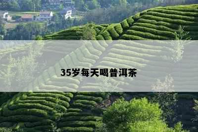 35岁每天喝普洱茶