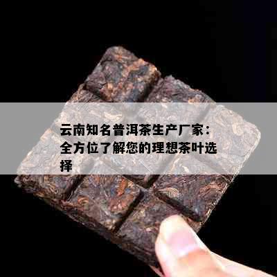 云南知名普洱茶生产厂家：全方位了解您的理想茶叶选择