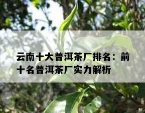 云南十大普洱茶厂排名：前十名普洱茶厂实力解析