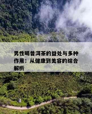 男性喝普洱茶的益处与多种作用：从健康到美容的综合解析