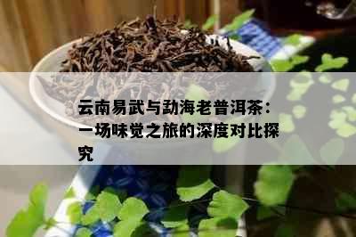 云南易武与勐海老普洱茶：一场味觉之旅的深度对比探究