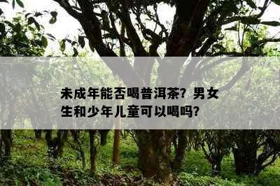 未成年能否喝普洱茶？男女生和少年儿童可以喝吗？