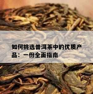 如何挑选普洱茶中的优质产品：一份全面指南