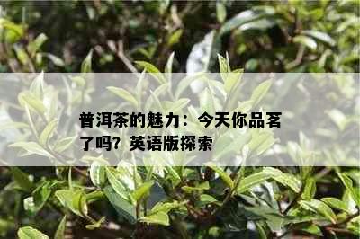 普洱茶的魅力：今天你品茗了吗？英语版探索