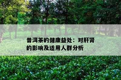 普洱茶的健康益处：对肝肾的影响及适用人群分析