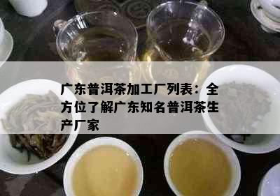 广东普洱茶加工厂列表：全方位了解广东知名普洱茶生产厂家