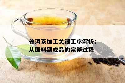 普洱茶加工关键工序解析：从原料到成品的完整过程