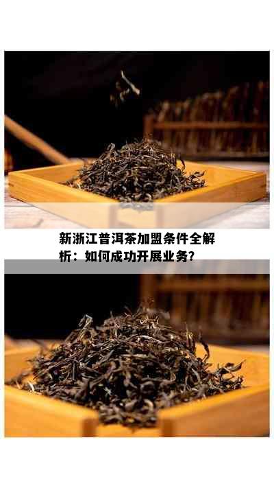 新浙江普洱茶加盟条件全解析：如何成功开展业务？