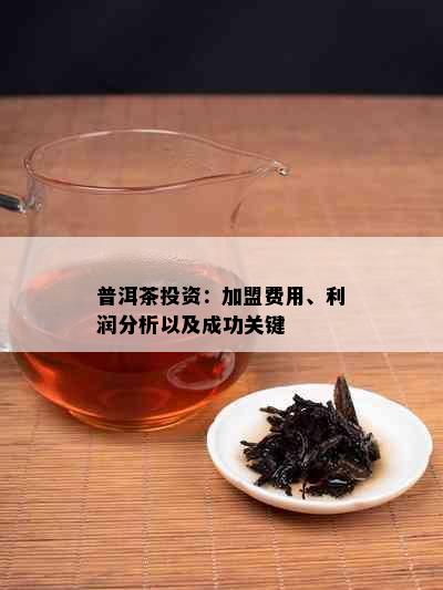 普洱茶投资：加盟费用、利润分析以及成功关键