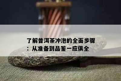 了解普洱茶冲泡的全面步骤：从准备到品鉴一应俱全