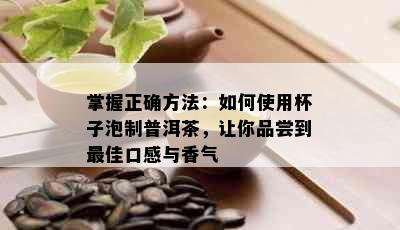 掌握正确方法：如何使用杯子泡制普洱茶，让你品尝到更佳口感与香气