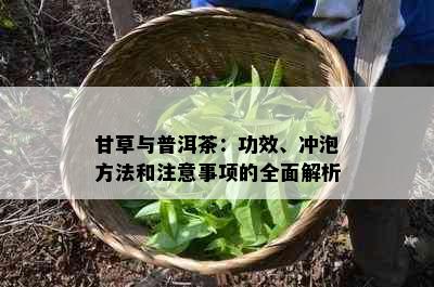 甘草与普洱茶：功效、冲泡方法和注意事项的全面解析