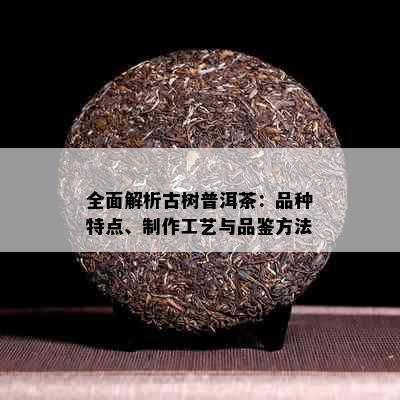 全面解析古树普洱茶：品种特点、制作工艺与品鉴方法