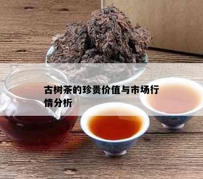 古树茶的珍贵价值与市场行情分析