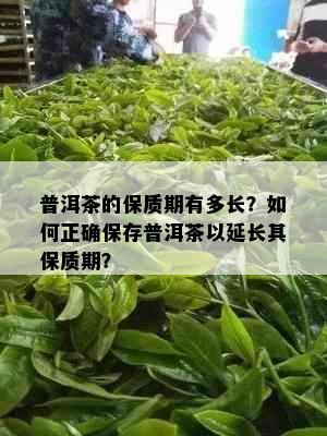 普洱茶的保质期有多长？如何正确保存普洱茶以延长其保质期？