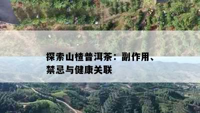 探索山楂普洱茶：副作用、禁忌与健康关联