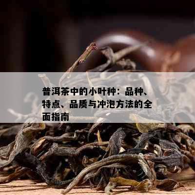 普洱茶中的小叶种：品种、特点、品质与冲泡方法的全面指南