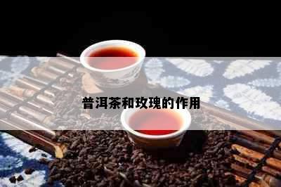 普洱茶和玫瑰的作用