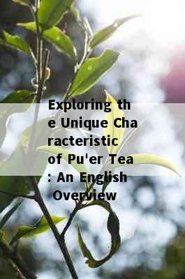 Exploring the Unique Characteristic of Pu'er Tea: An English Overview