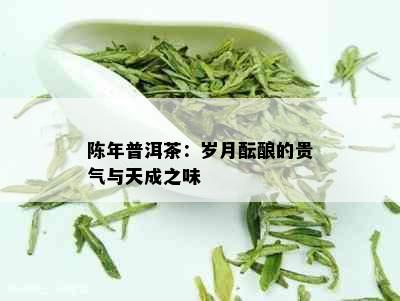 陈年普洱茶：岁月酝酿的贵气与天成之味