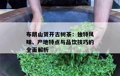 布朗山贺开古树茶：独特风味、产地特点与品饮技巧的全面解析