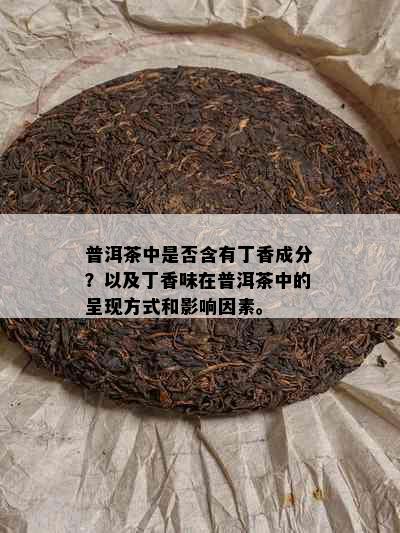 普洱茶中是否含有丁香成分？以及丁香味在普洱茶中的呈现方式和影响因素。